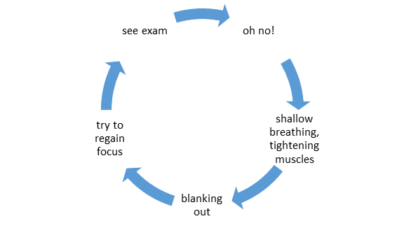 Exam Anxiety Cycle